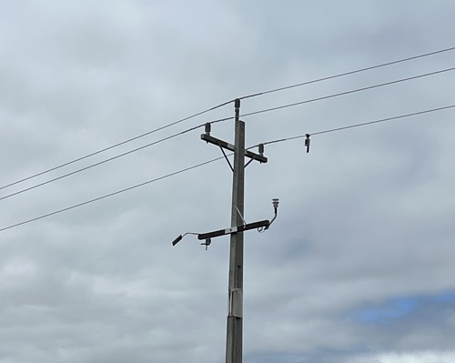 Power pole and lines with a device on one of the lines